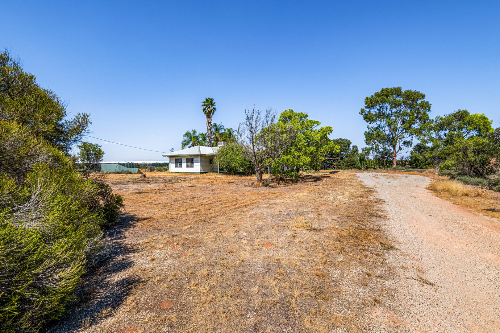 190 Madang Road, Robinvale, VIC 3549, Robinvale - Thumbnail 5