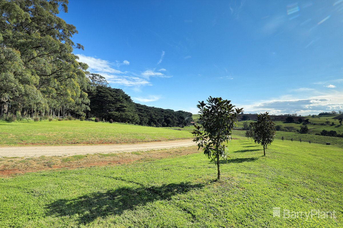 191 Ure RoadGembrook, VIC 3783, Gembrook - Thumbnail 3
