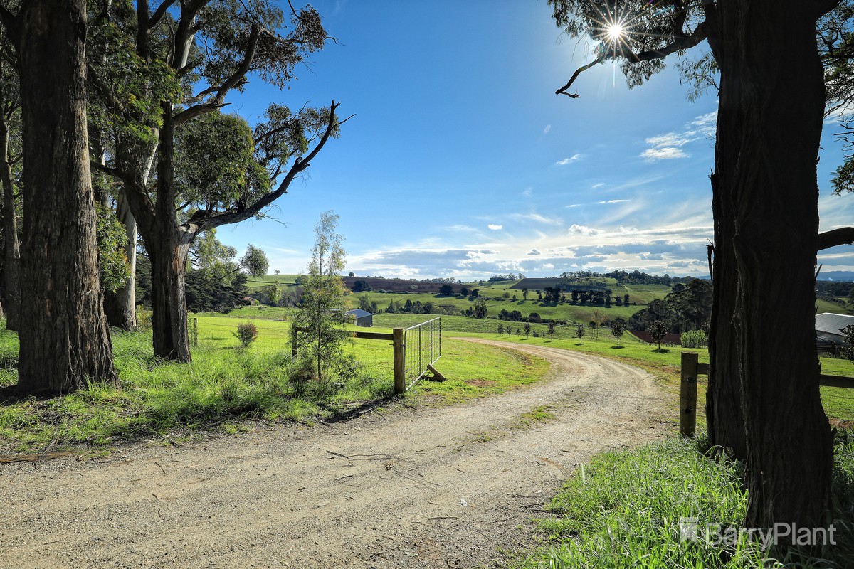 191 Ure RoadGembrook, VIC 3783, Gembrook - Thumbnail 4