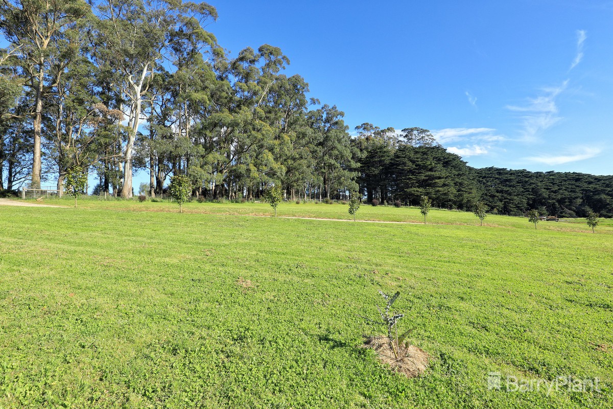 191 Ure RoadGembrook, VIC 3783, Gembrook - Thumbnail 5