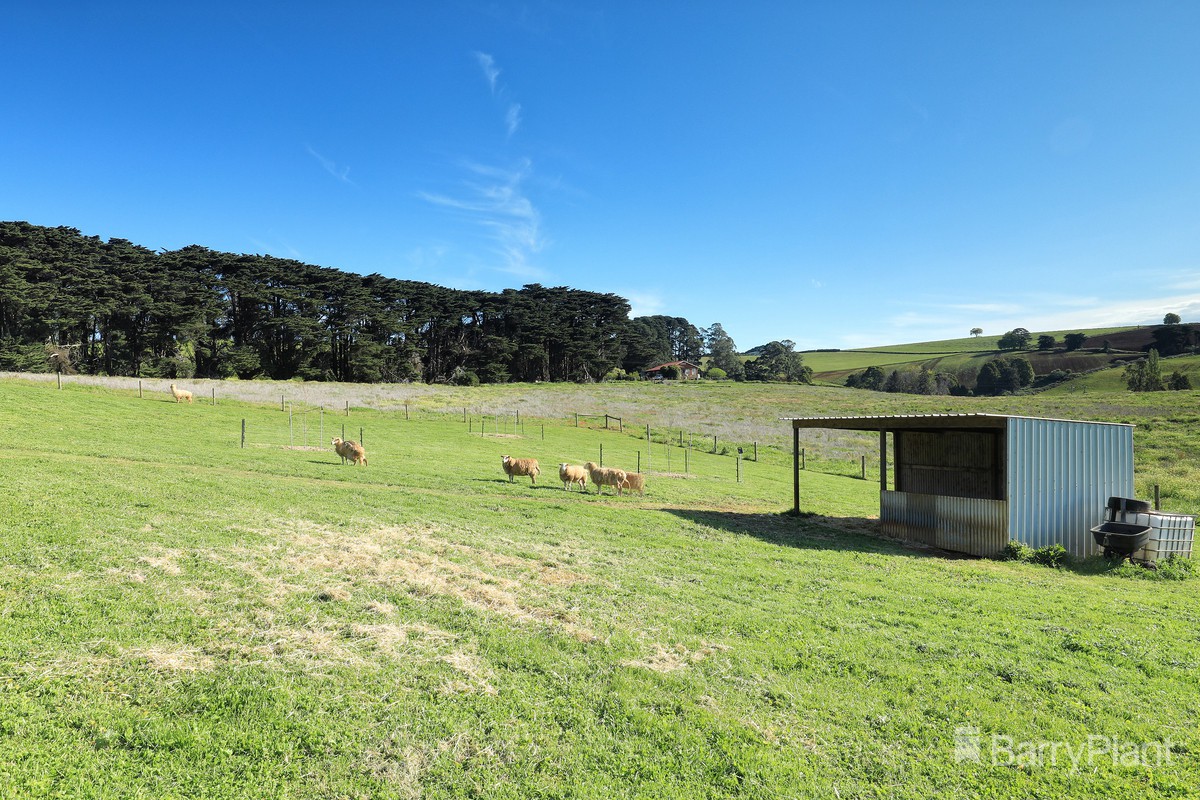 191 Ure RoadGembrook, VIC 3783, Gembrook - Thumbnail 8