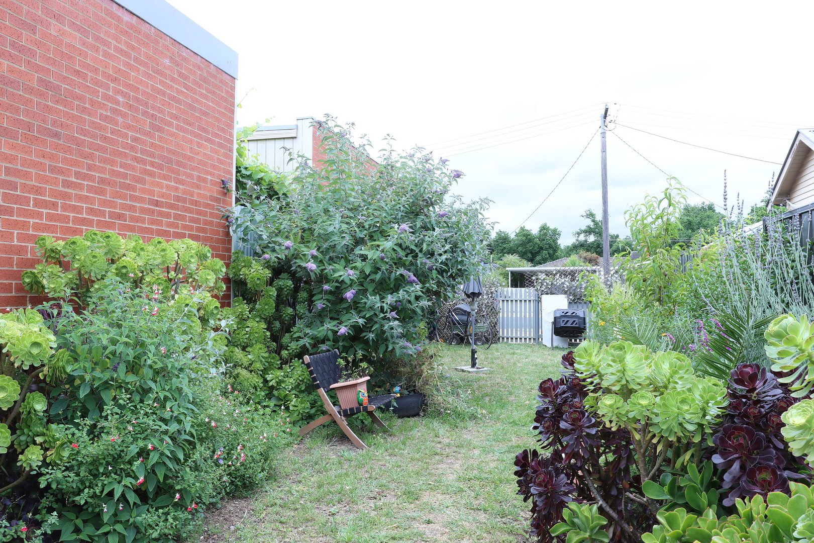 194 McCrae StreetBendigo, VIC 3550, Bendigo - Thumbnail 5