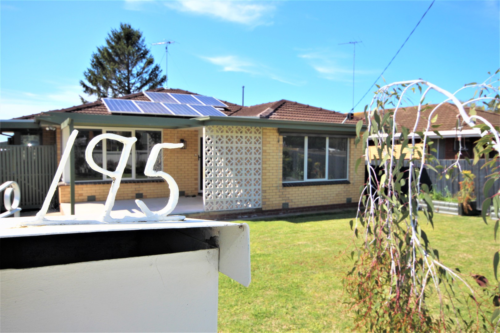 195 Boundary Road, Whittington, VIC 3219, Whittington - Thumbnail 2