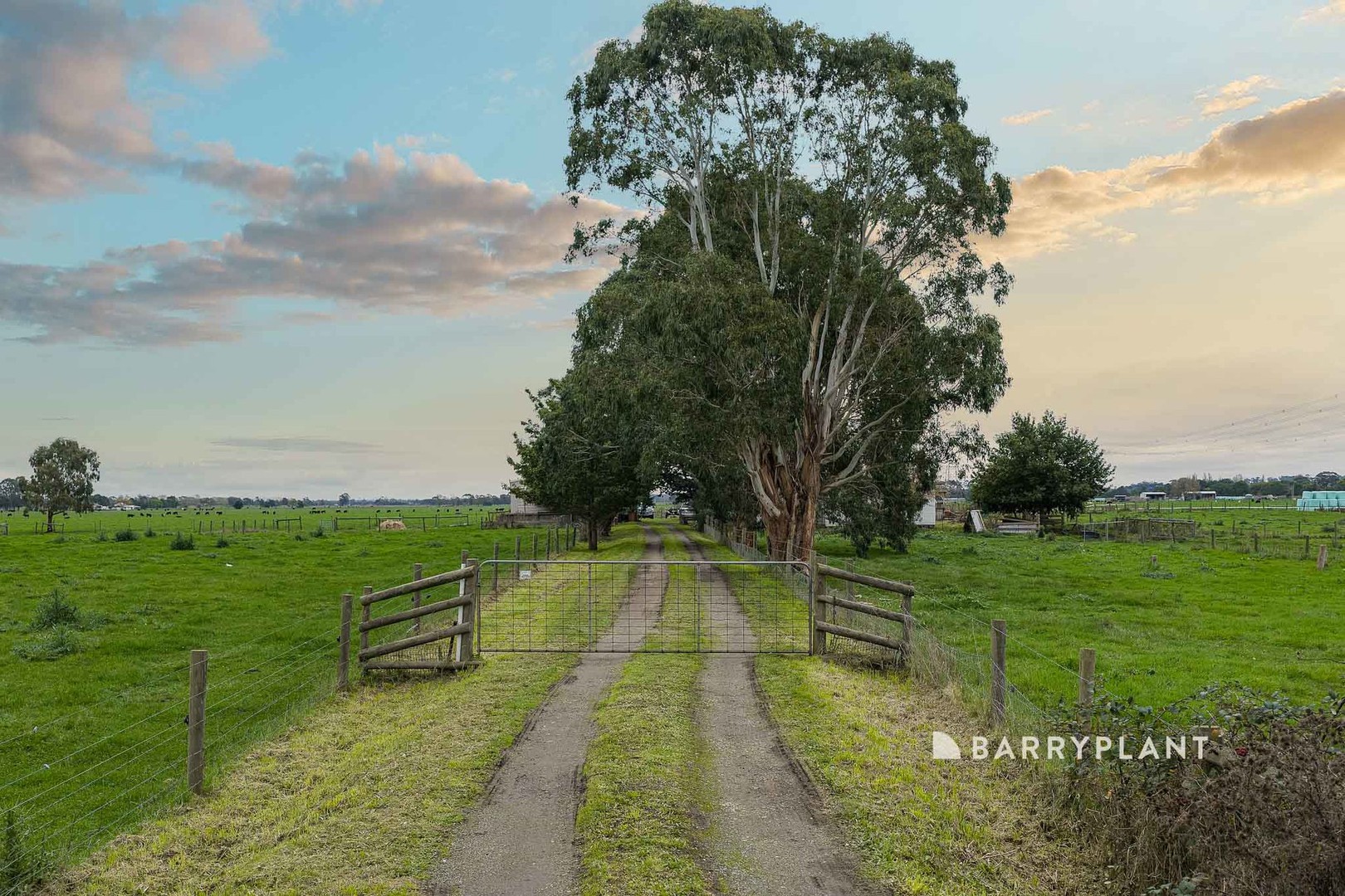 197 Willow Grove Road, Trafalgar, VIC 3824, Trafalgar - Thumbnail 2