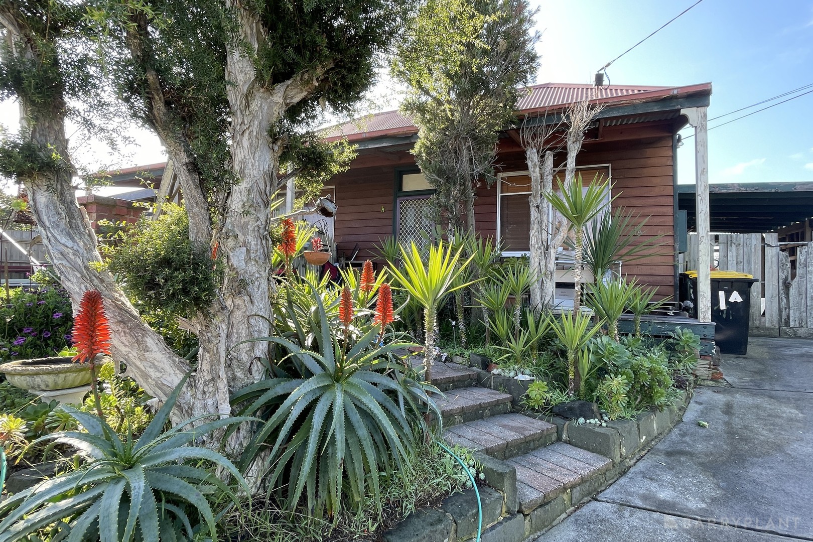 1A Whatley Street, Carrum, VIC 3197, Carrum - Thumbnail 5