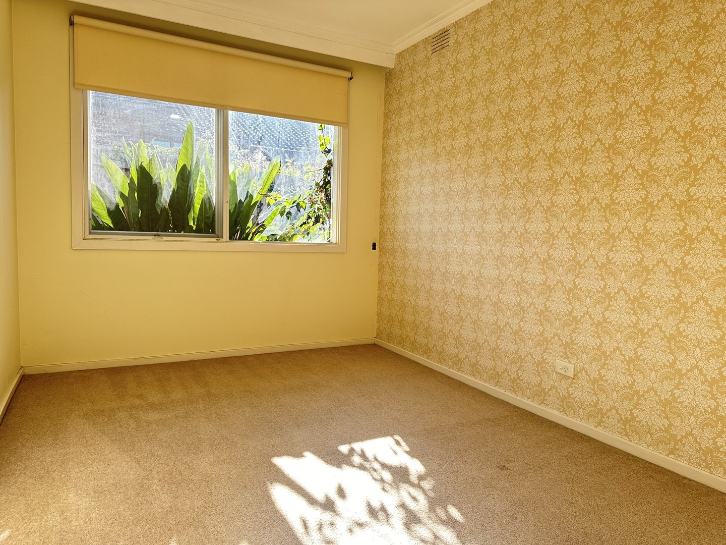 2/10 Hotham Street, Mont Albert, VIC 3127, Mont Albert - Thumbnail 6