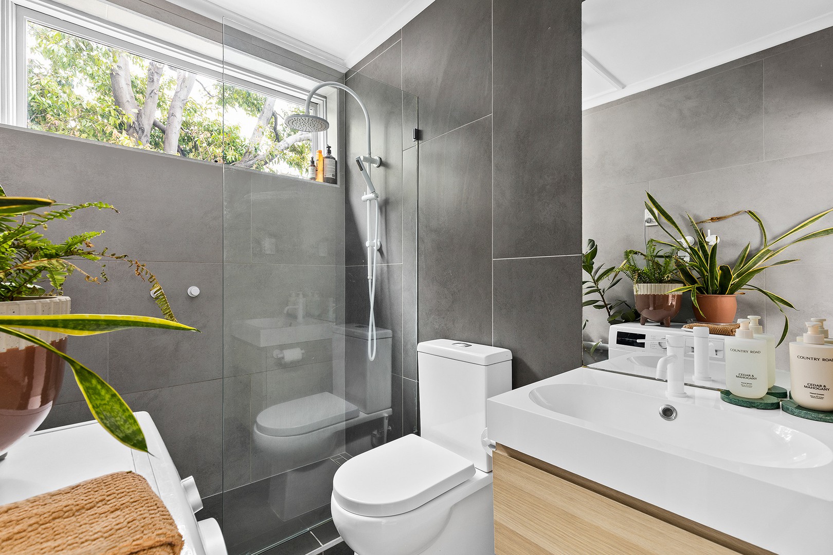 2/11A Holmes Street, Brunswick, VIC 3056, Brunswick - Thumbnail 5
