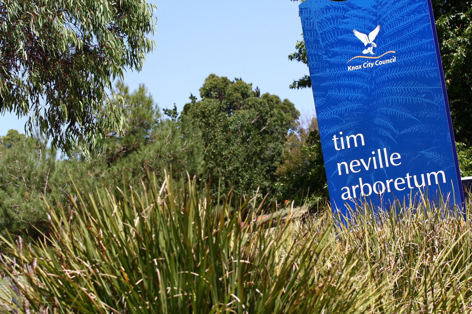 2/15 Blackwood Park RoadFerntree Gully, VIC 3156, Ferntree Gully - Thumbnail 3