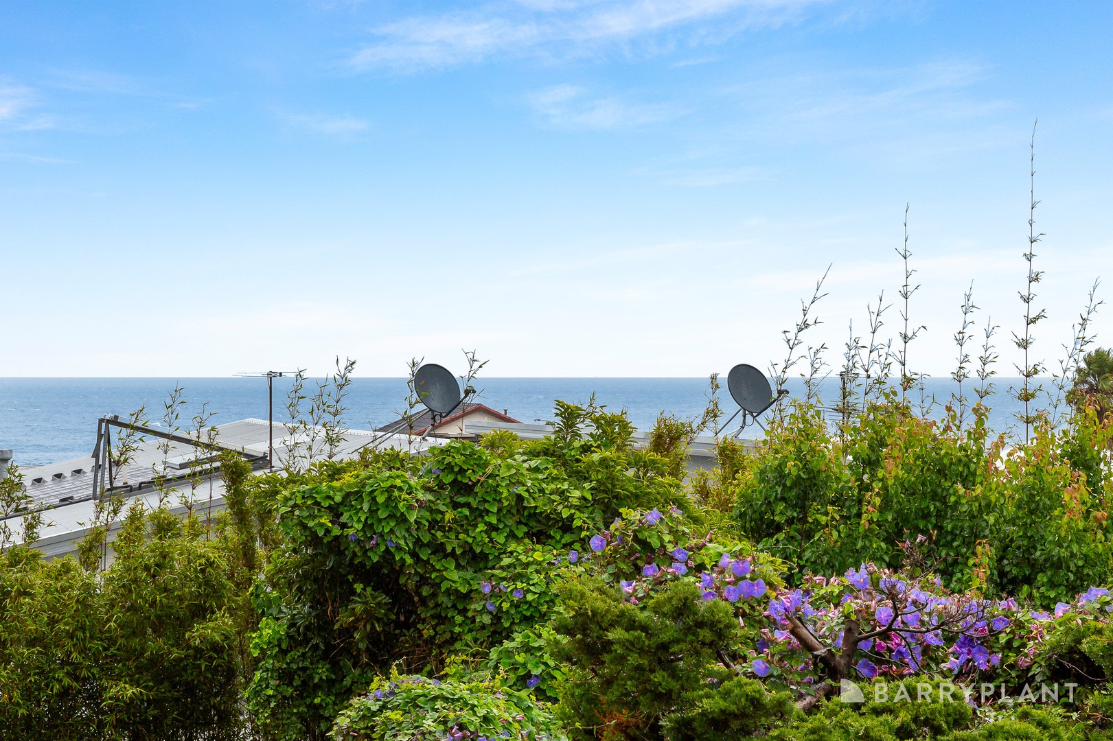 2/18 John Street, Mordialloc, VIC 3195, Mordialloc - Thumbnail 3