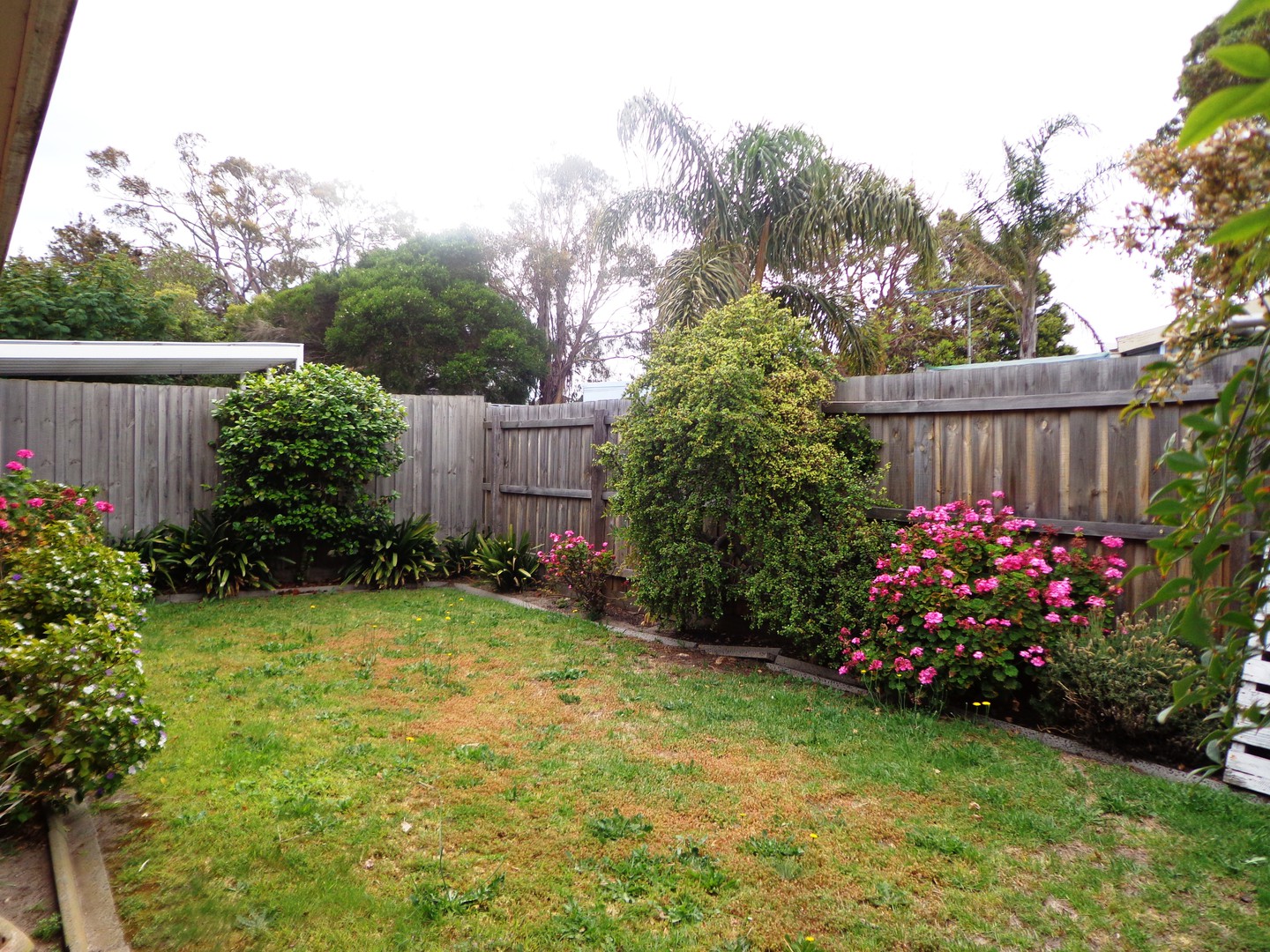 2/1A Genoa Avenue, Bonbeach, VIC 3196, Bonbeach - Thumbnail 6