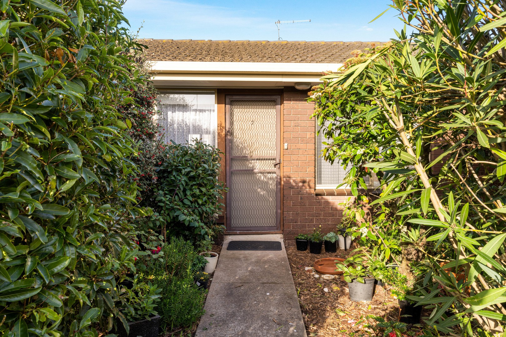 2/232-234 Wilsons Road, Whittington, VIC 3219, Whittington - Thumbnail 6