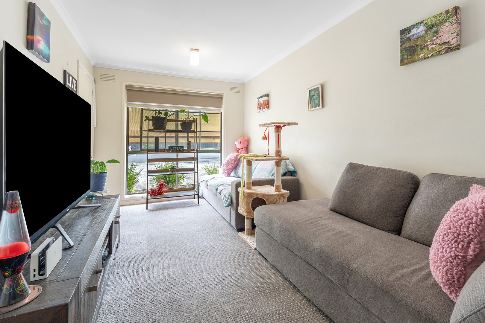 2/46 Sydenham Avenue, Manifold Heights, VIC 3218, Manifold Heights - Thumbnail 3