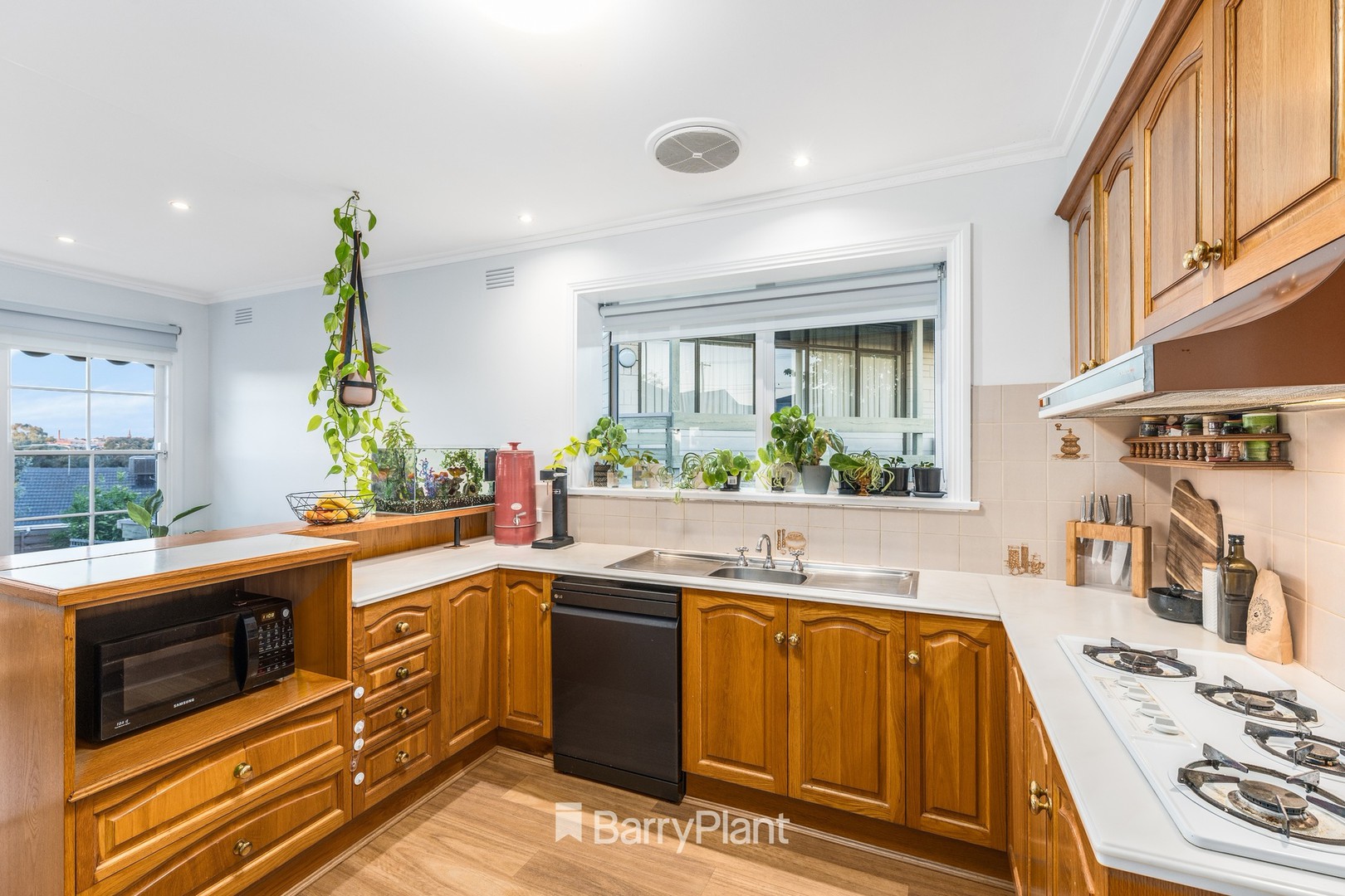 2 Albert TerraceBelmont, VIC 3216, Belmont - Thumbnail 8