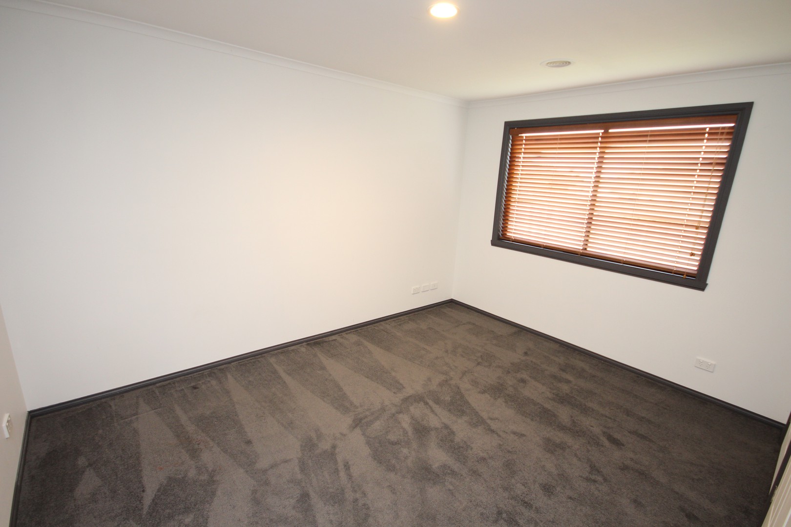2 Butler Court, Highton, VIC 3216, Highton - Thumbnail 8