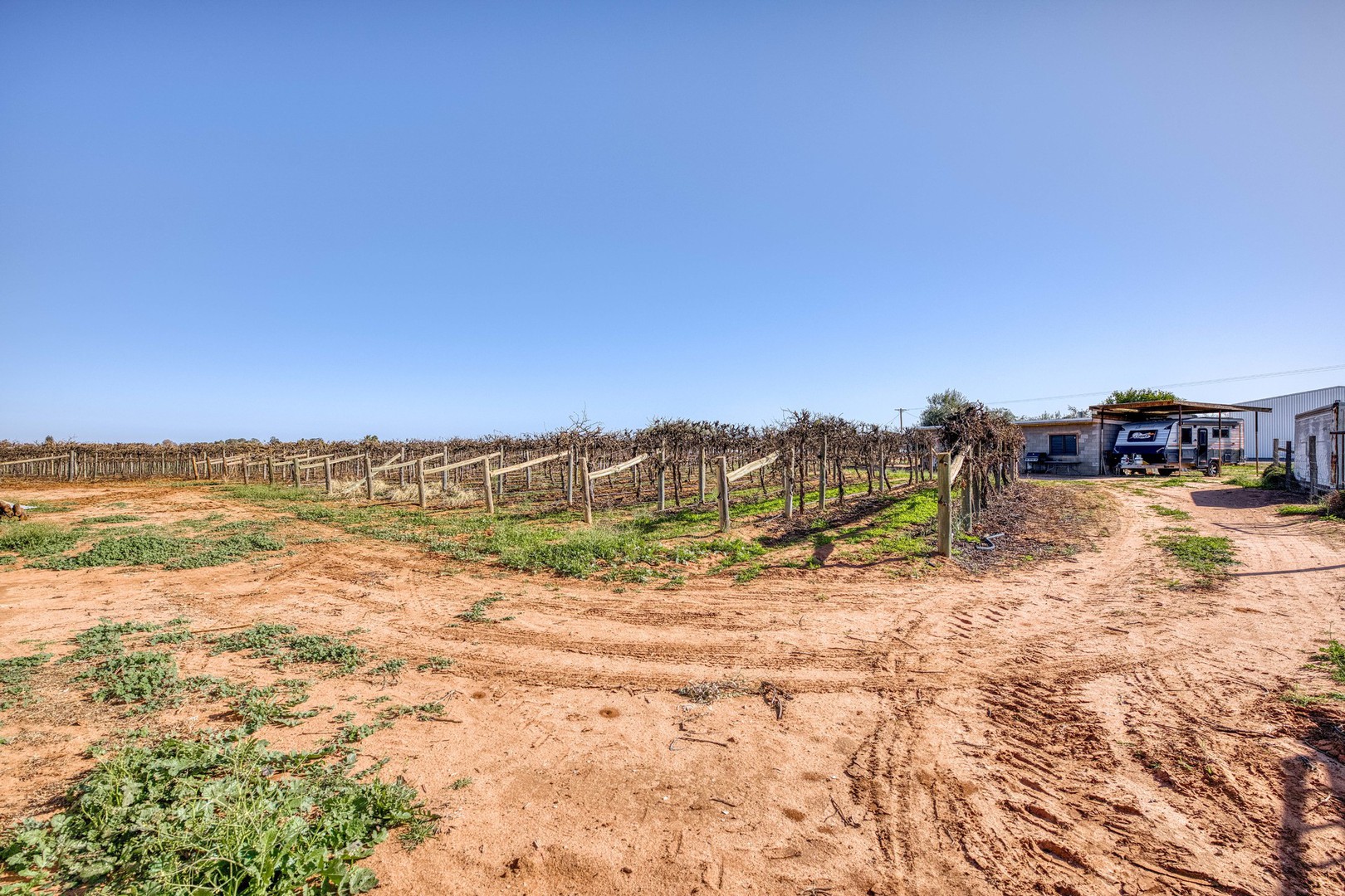 2 Moonah Street, Red Cliffs, VIC 3496, Red Cliffs - Thumbnail 3