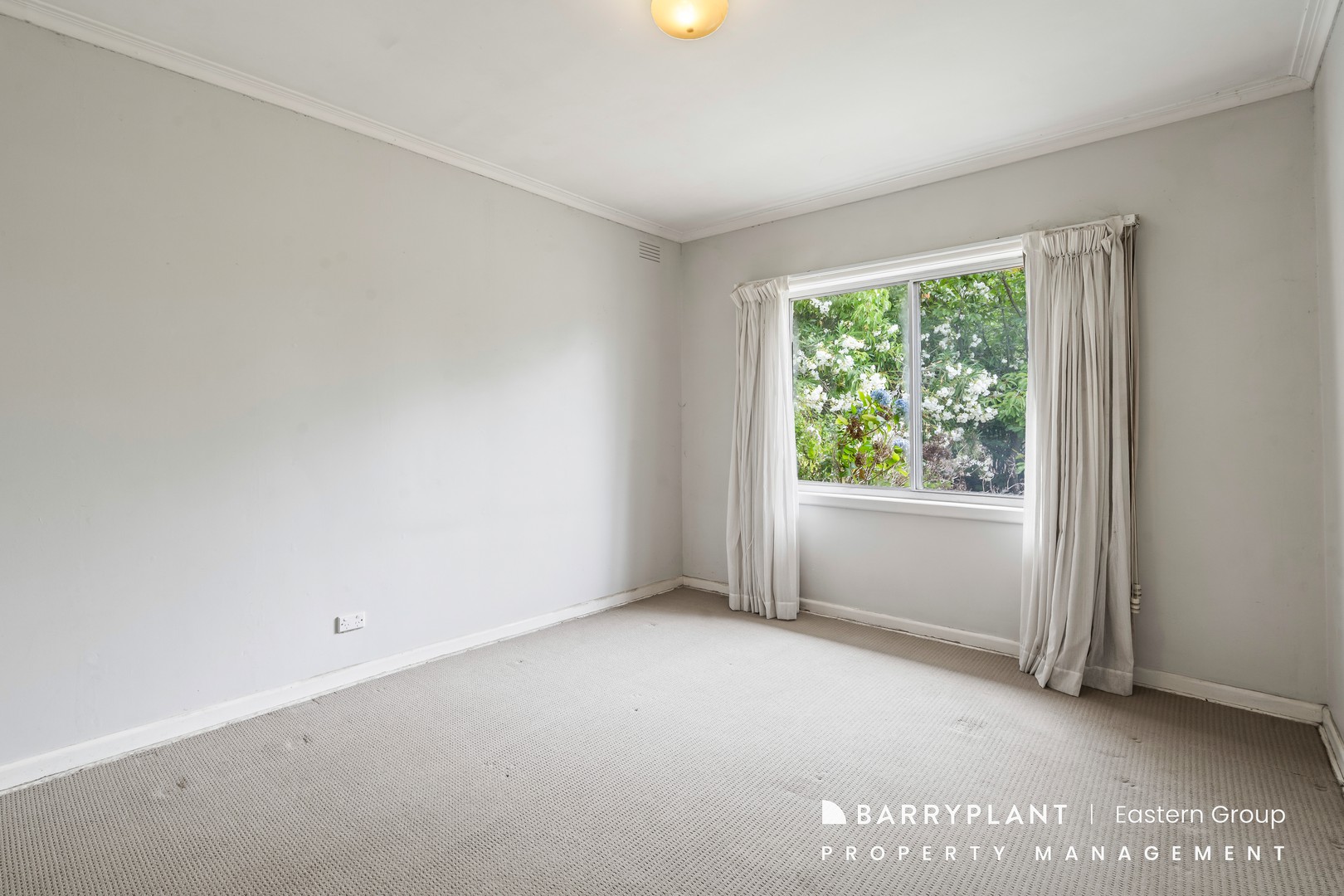 2 Neville Street, Ringwood, VIC 3134, Ringwood - Thumbnail 5