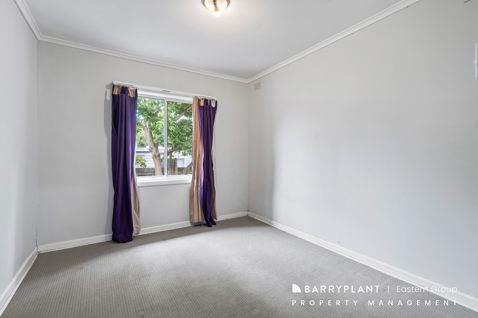 2 Neville Street, Ringwood, VIC 3134, Ringwood - Thumbnail 7