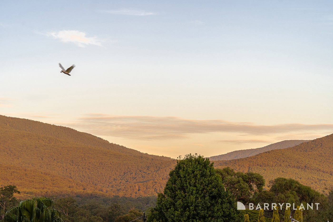 2 Queen Street, Yarra Junction, VIC 3797, Yarra Junction - Thumbnail 4