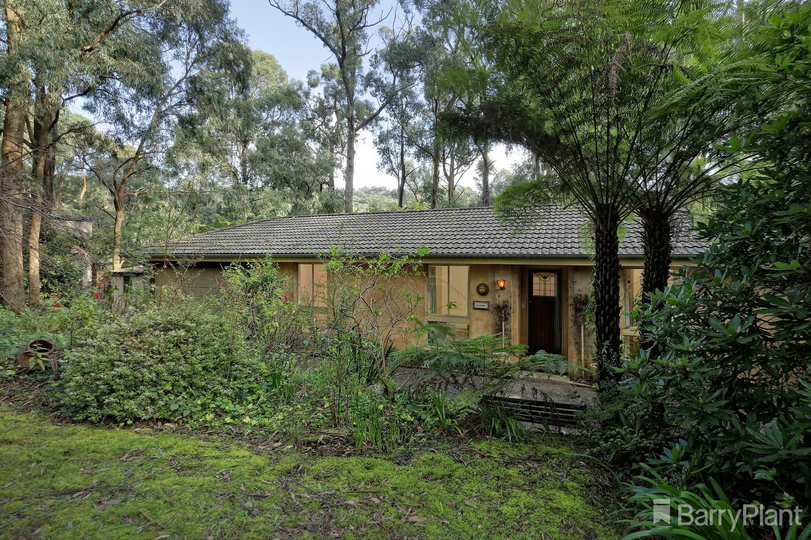 2 Symons Road, Avonsleigh, VIC 3782, Avonsleigh - Thumbnail 2