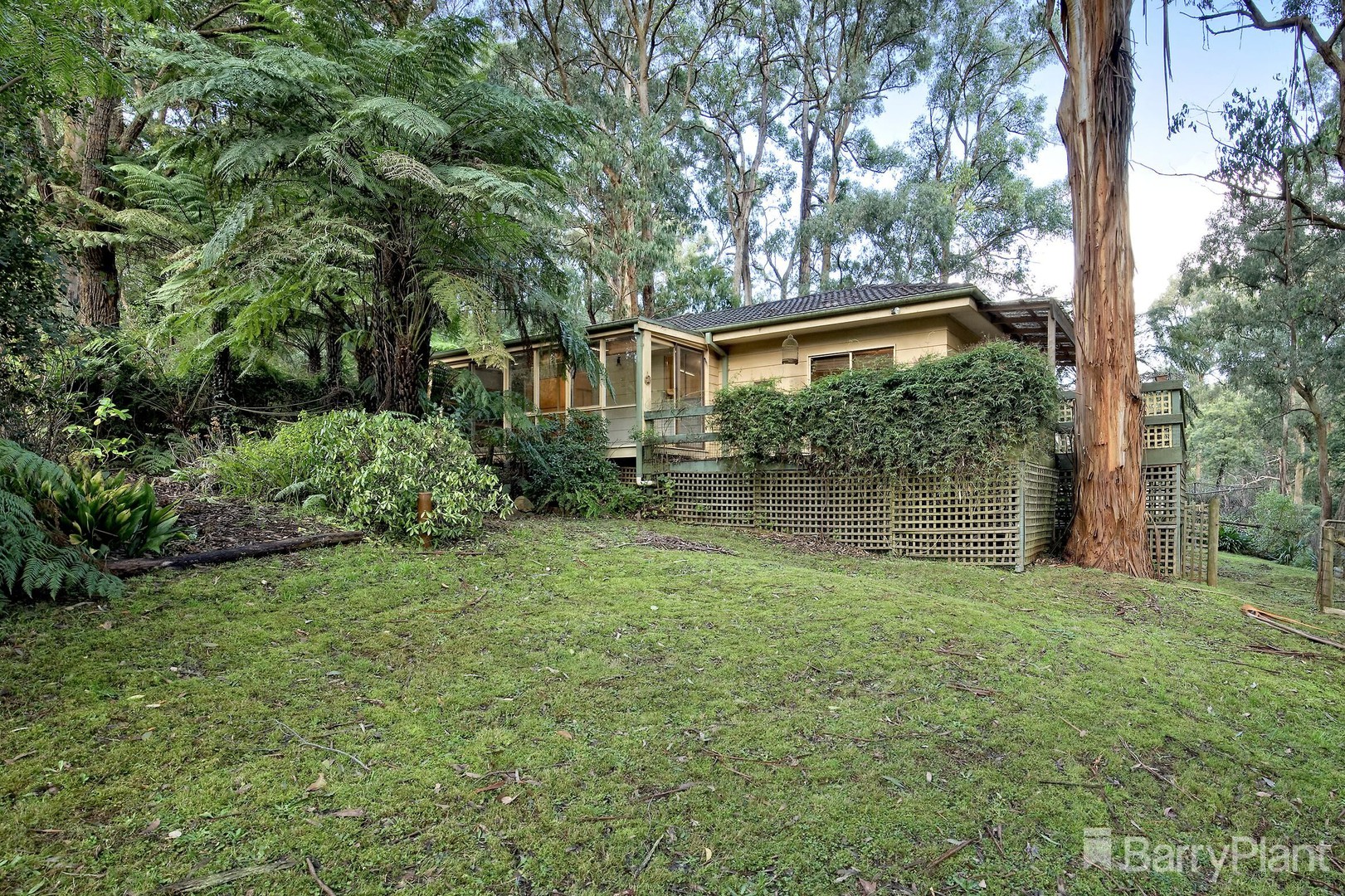 2 Symons Road, Avonsleigh, VIC 3782, Avonsleigh - Thumbnail 3