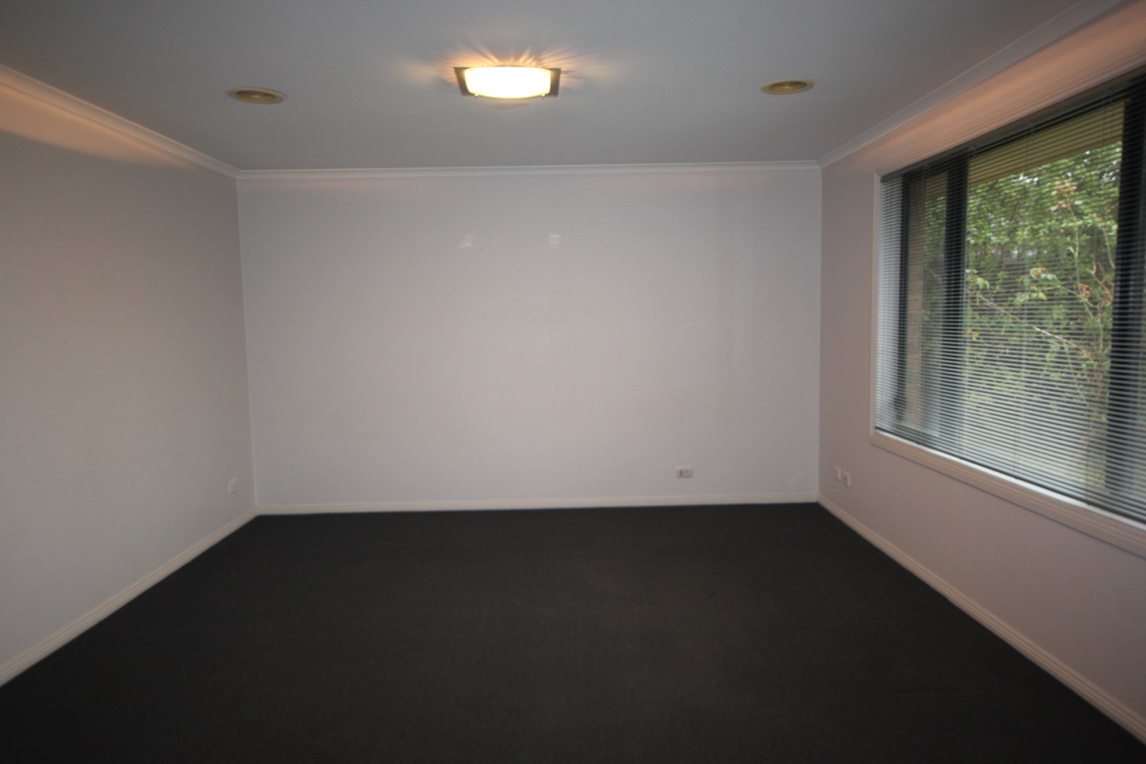 20 Alan Street, Grovedale, VIC 3216, Grovedale - Thumbnail 4