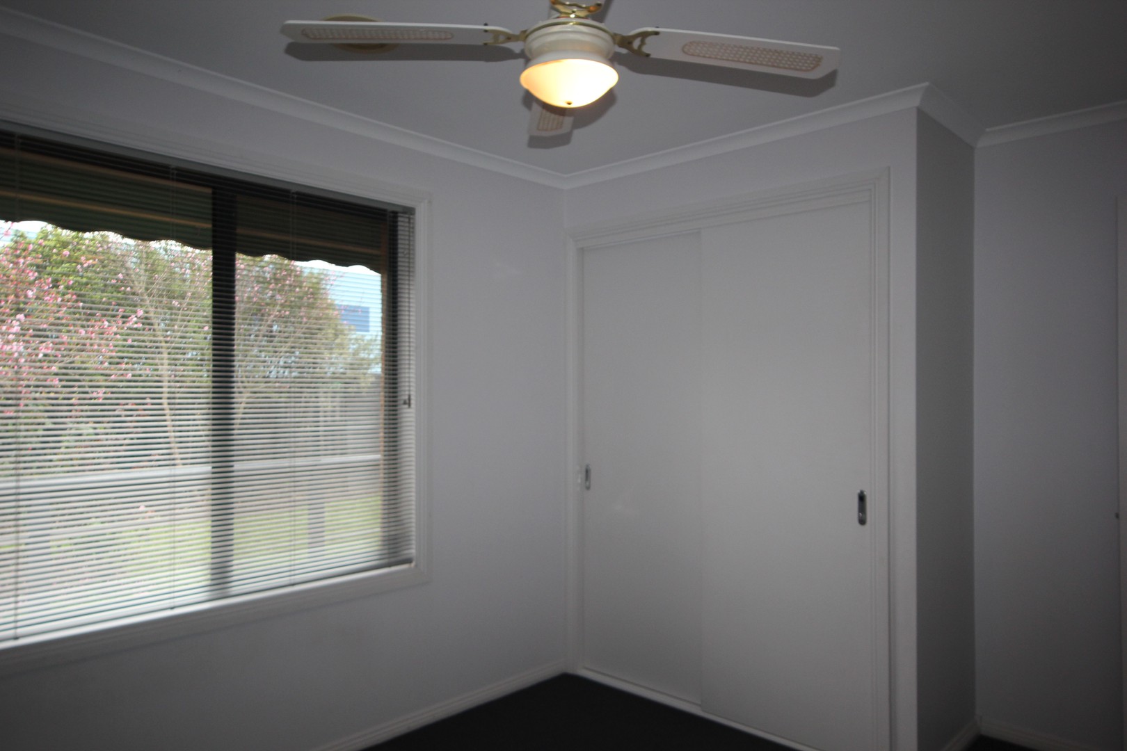 20 Alan Street, Grovedale, VIC 3216, Grovedale - Thumbnail 7