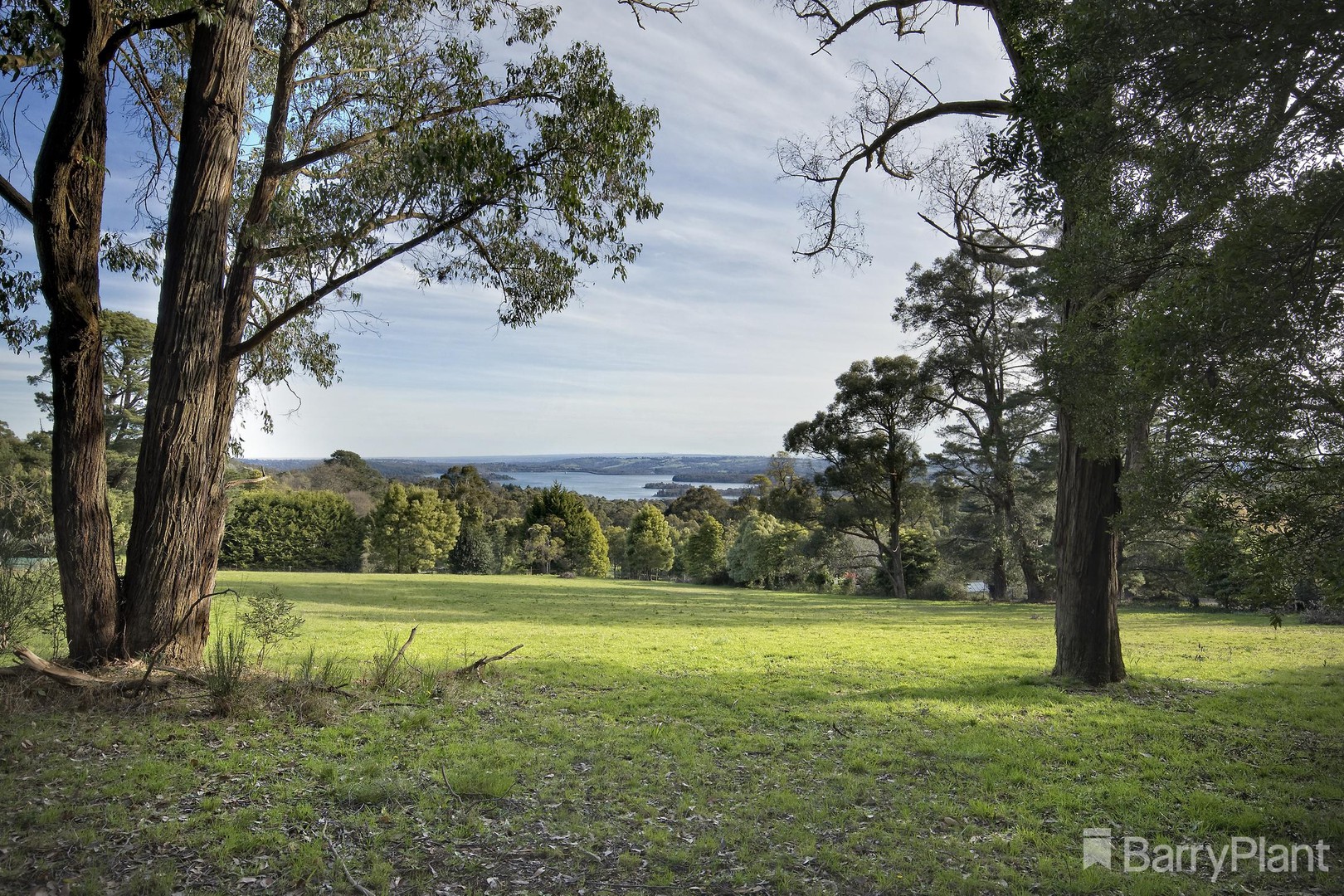20 Clematis Park Road, Emerald, VIC 3782, Emerald - Thumbnail 4