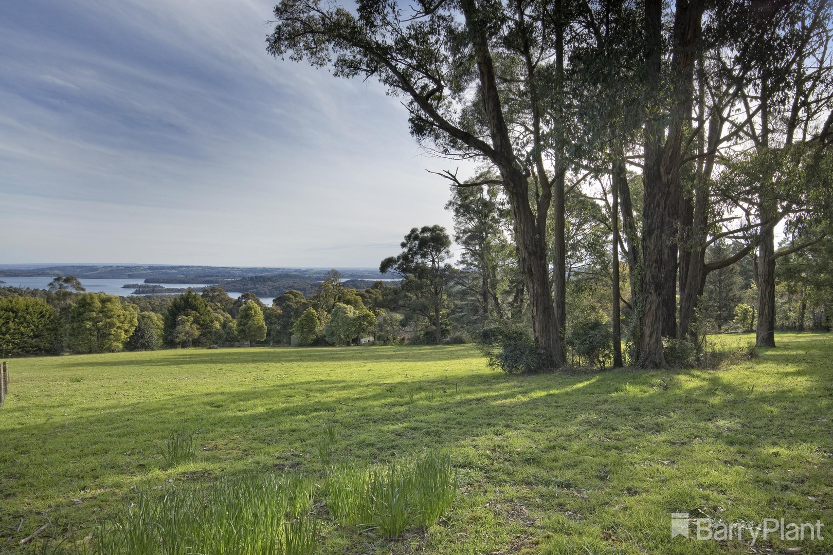 20 Clematis Park Road, Emerald, VIC 3782, Emerald - Thumbnail 5