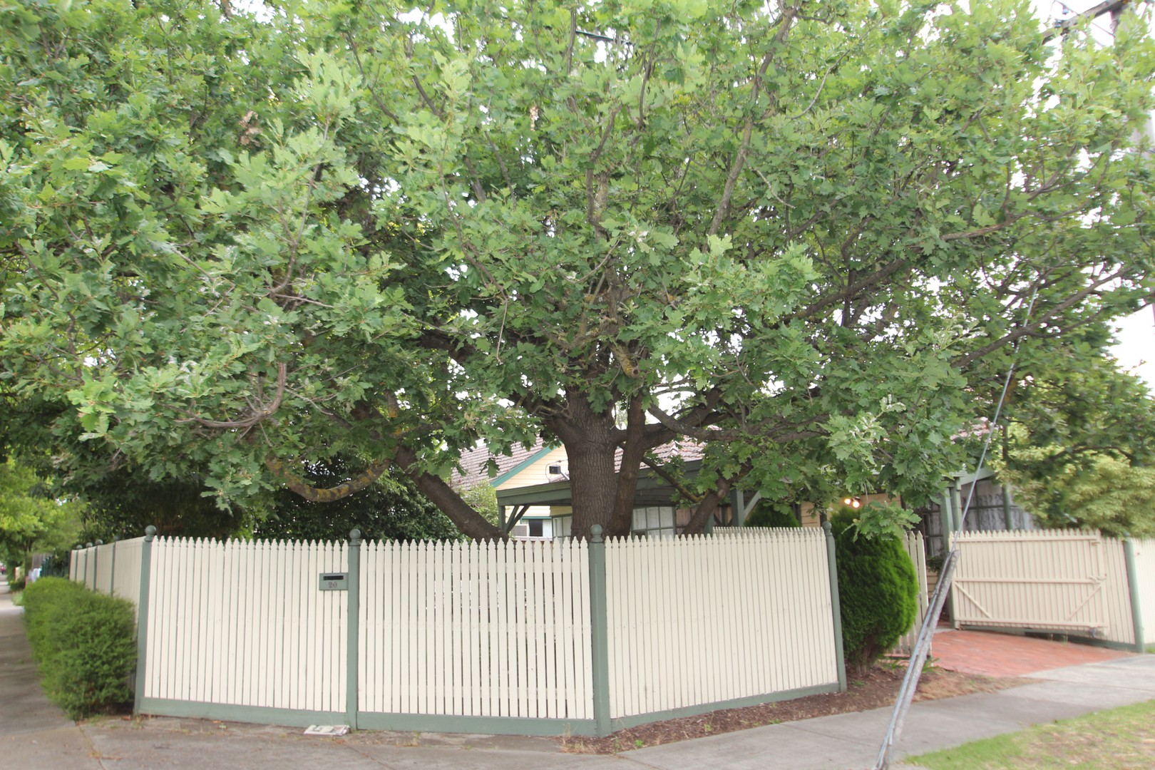 20 Elder Street, Blackburn, VIC 3130, Blackburn - Thumbnail 8