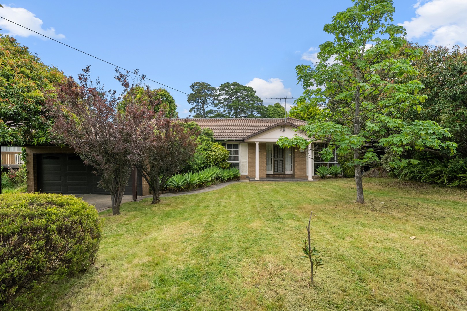 20 Henry Street, Doncaster, VIC 3108 - Thumbnail 2 - 25/10/2023