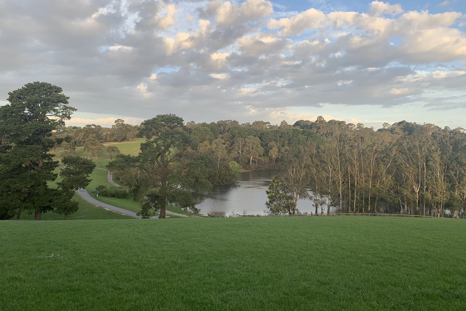 20 Henry Street, Doncaster, VIC 3108, Doncaster - Thumbnail 8