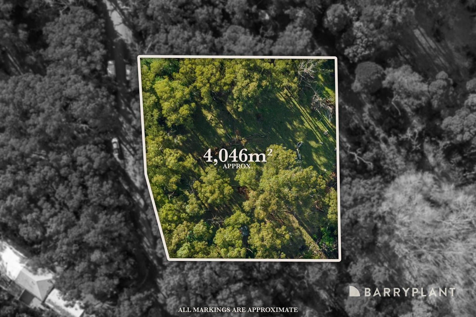 20 Ladd Road, Emerald, VIC 3782, Emerald - Thumbnail 6
