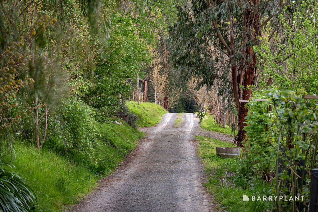 20 Rymers Road, Gladysdale, VIC 3797, Gladysdale - Thumbnail 3