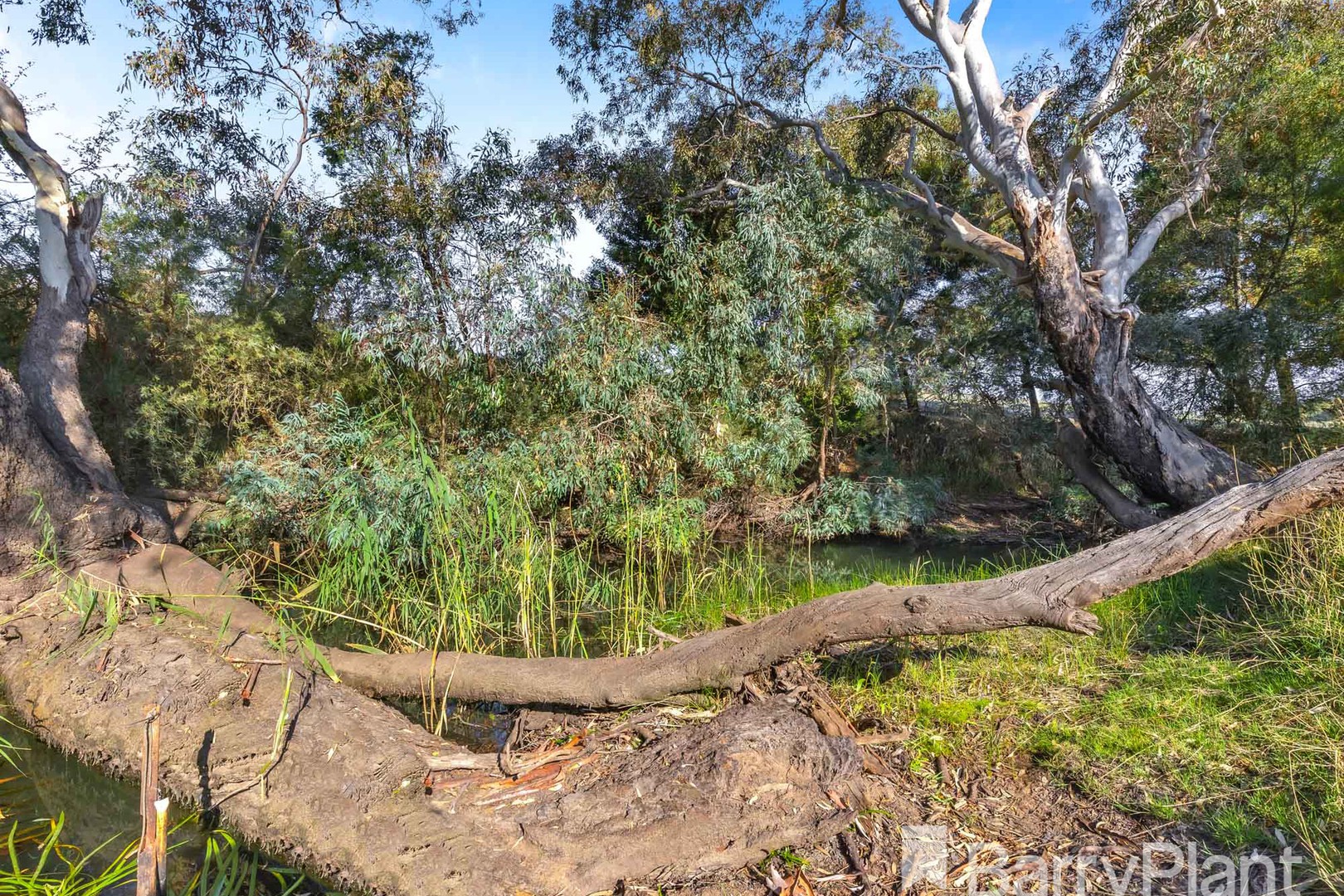 200 Smeaton Road, Clunes, VIC 3370, Clunes - Thumbnail 6