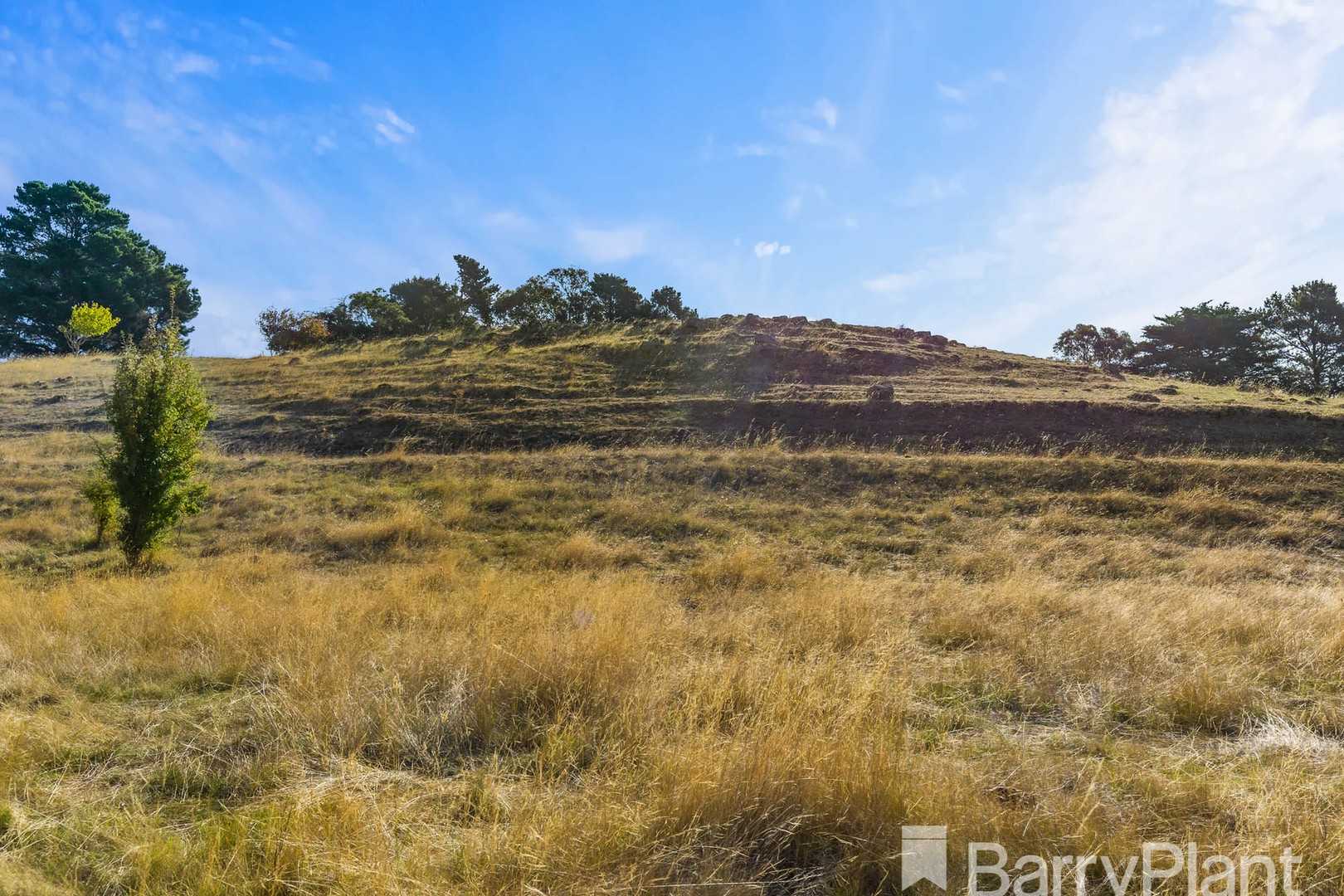 200 Smeaton Road, Clunes, VIC 3370, Clunes - Thumbnail 7