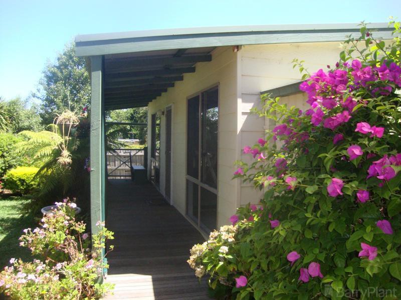 20A Sheridan Court, Heathmont, VIC 3135, Heathmont - Thumbnail 2