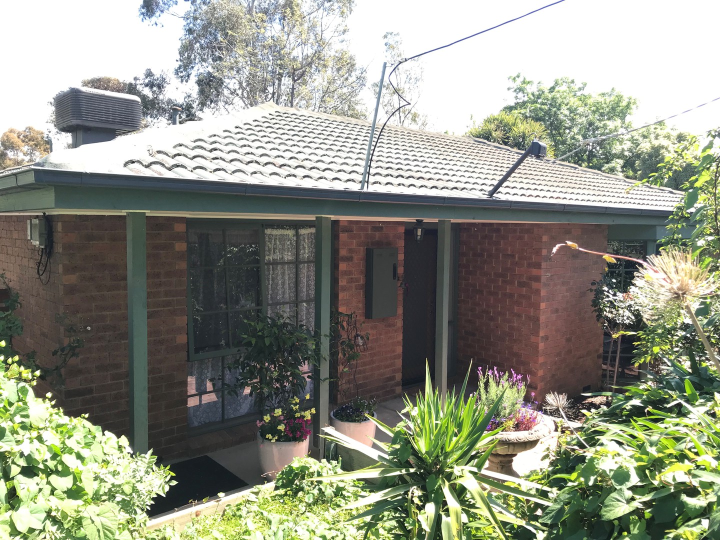 21 Angelica Crescent, Croydon Hills, VIC 3136, Croydon Hills - Thumbnail 4