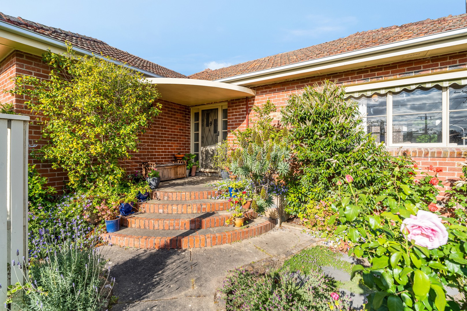 21 Harcourt Street, Newtown, VIC 3220, Newtown - Thumbnail 2