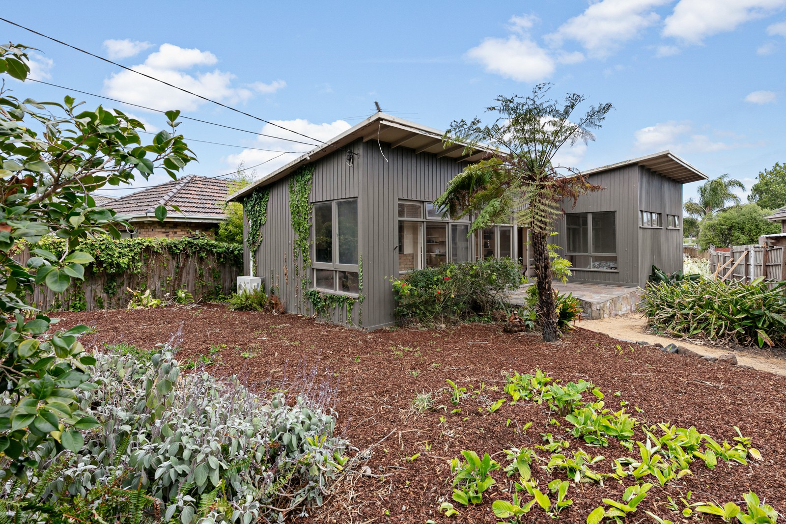 21 Richard Street, Bentleigh East, VIC 3165, Bentleigh East - Thumbnail 3