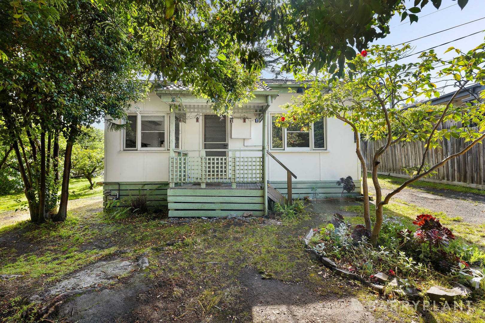 21 Ryland Avenue, Croydon, VIC 3136, Croydon - Thumbnail 3