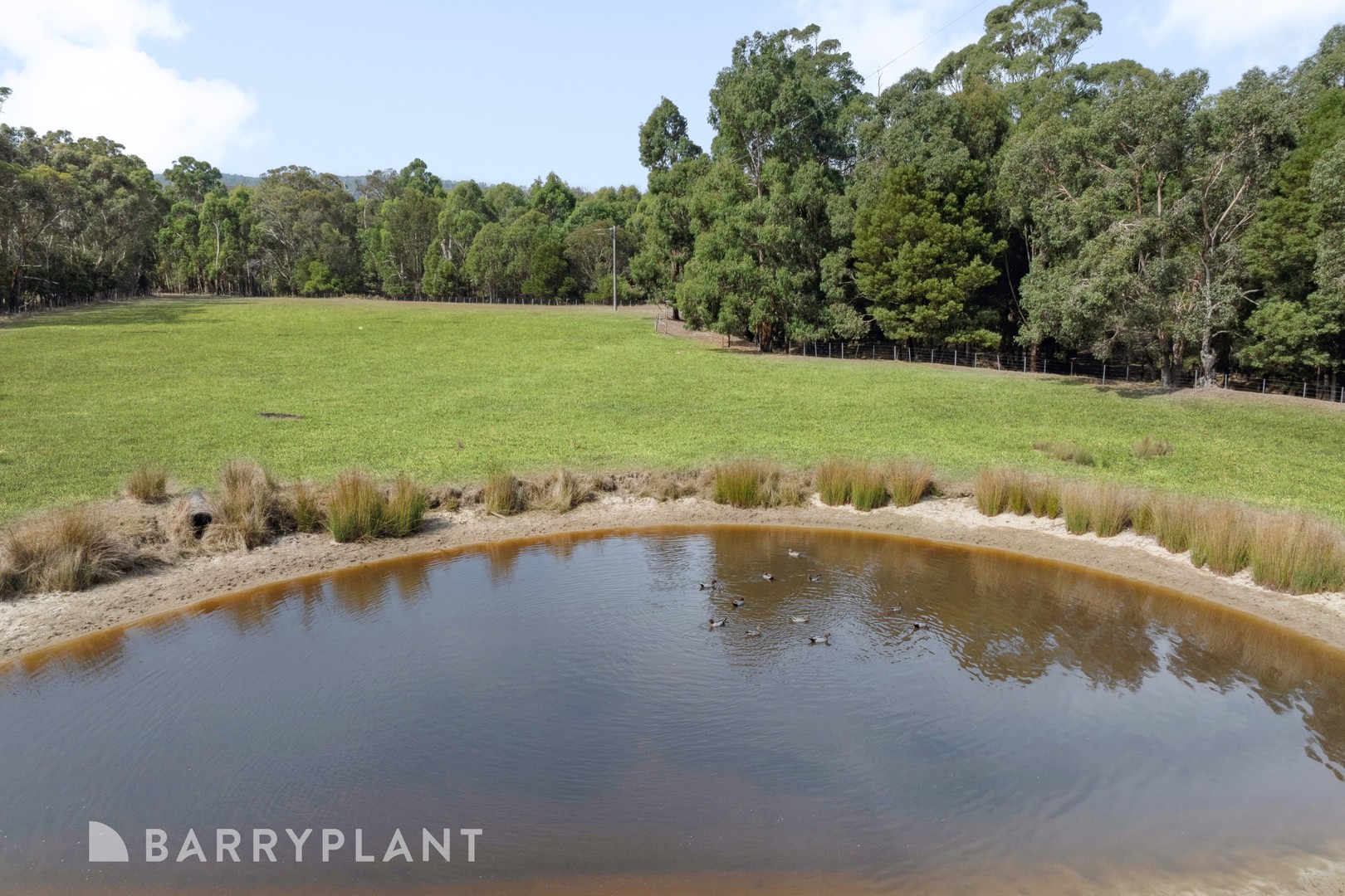 210 Clarkes Road, Upper Plenty, VIC 3756, Upper Plenty - Thumbnail 3