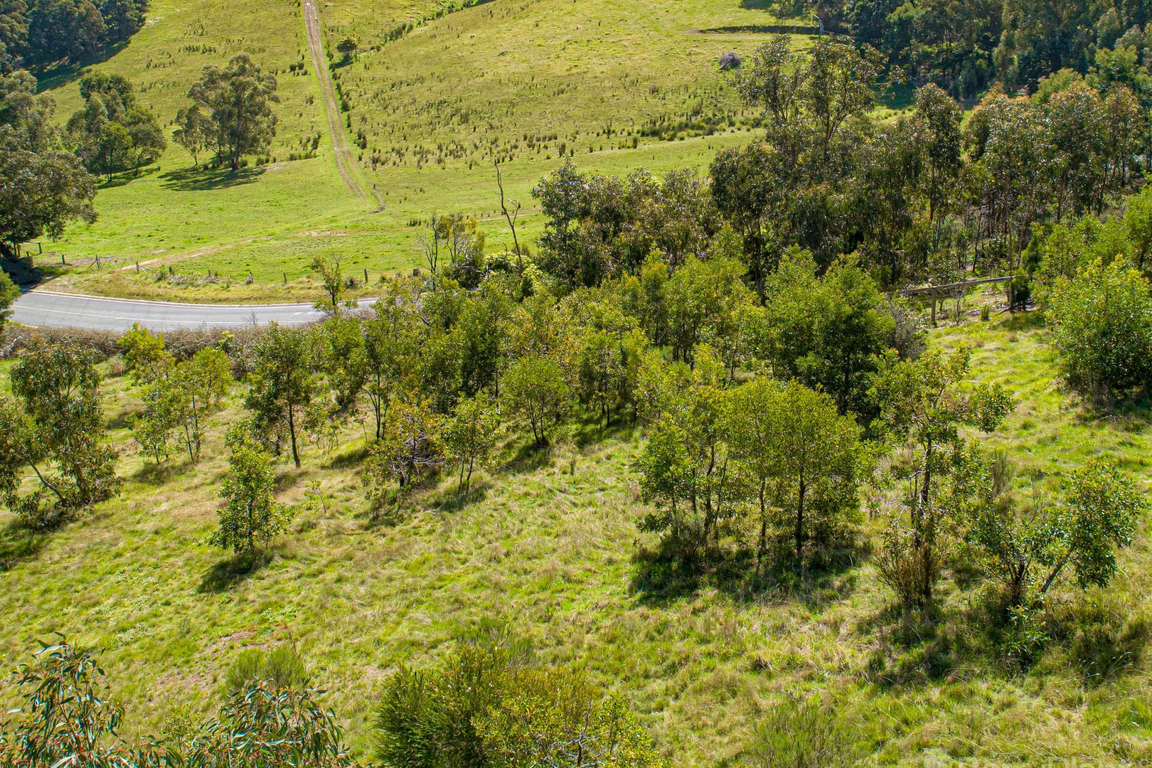 210 O'Neil RoadBeaconsfield, VIC 3807, Beaconsfield - Thumbnail 5