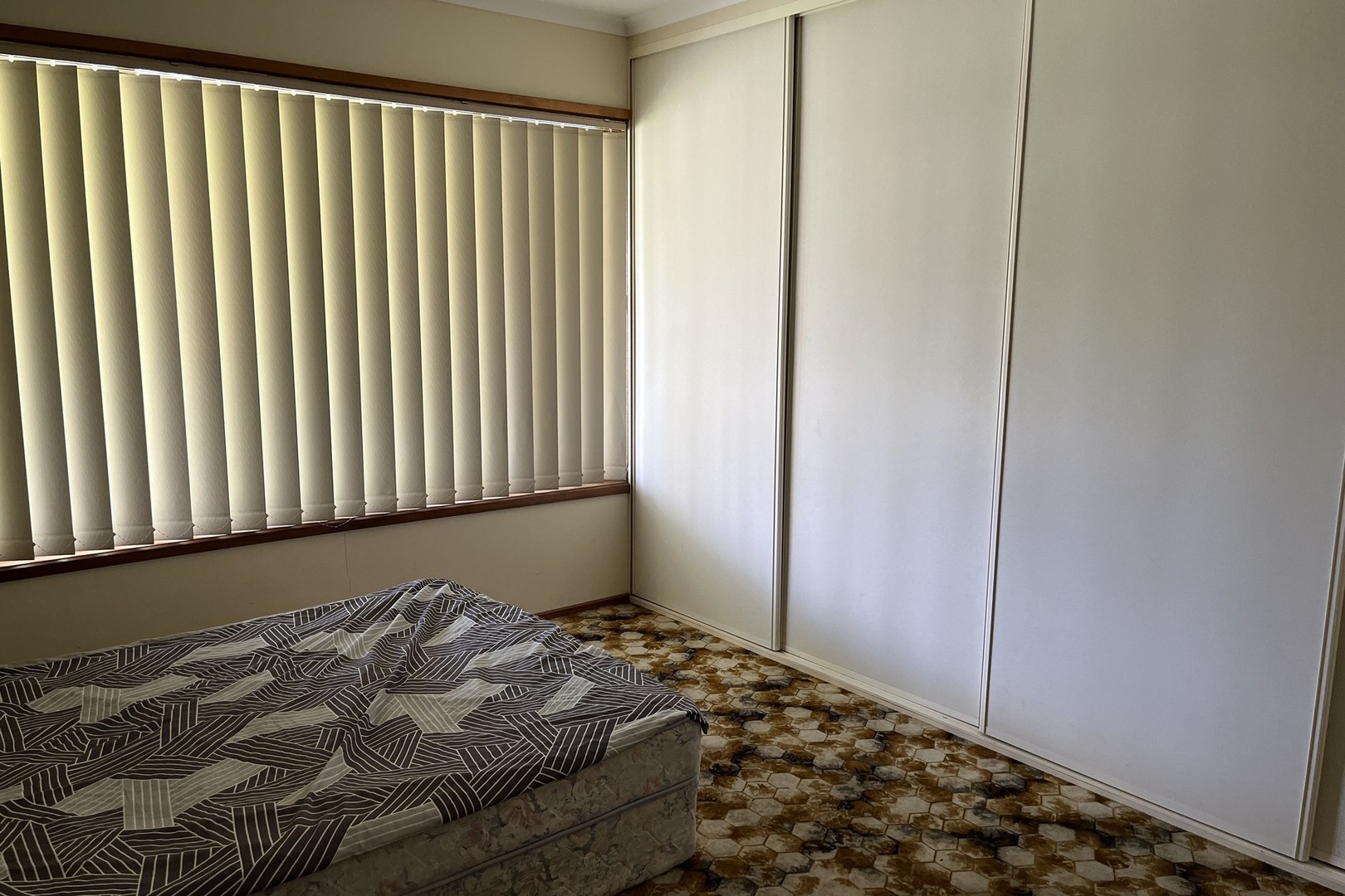 216 Bromley Road, Robinvale, VIC 3549, Robinvale - Thumbnail 6