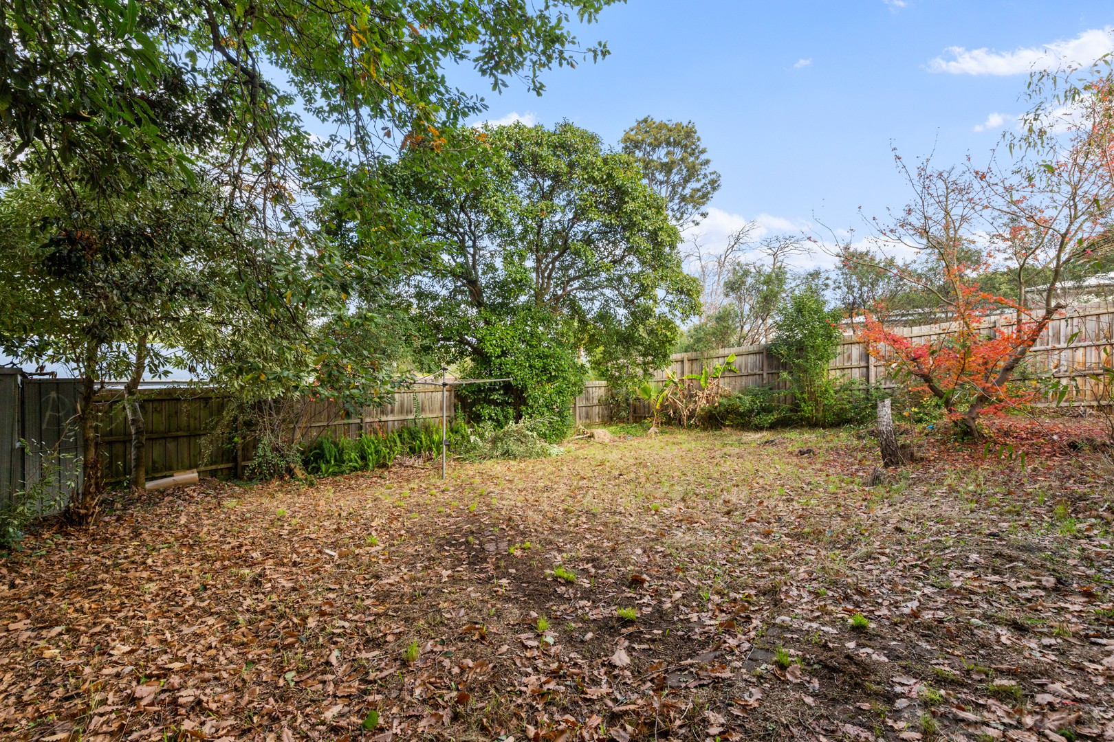 218 Canterbury Road, Heathmont, VIC 3135, Heathmont - Thumbnail 8