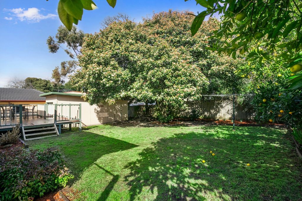 22 Byron Street, Ringwood, VIC 3134, Ringwood - Thumbnail 7