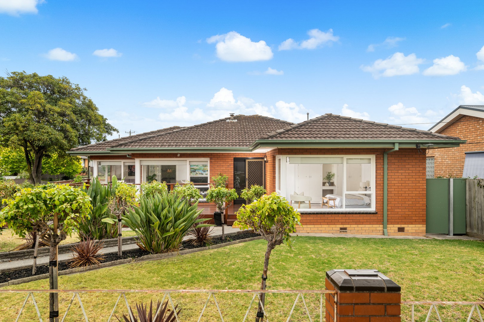 22 Lily Street, Hamlyn Heights, VIC 3215, Hamlyn Heights - Thumbnail 3