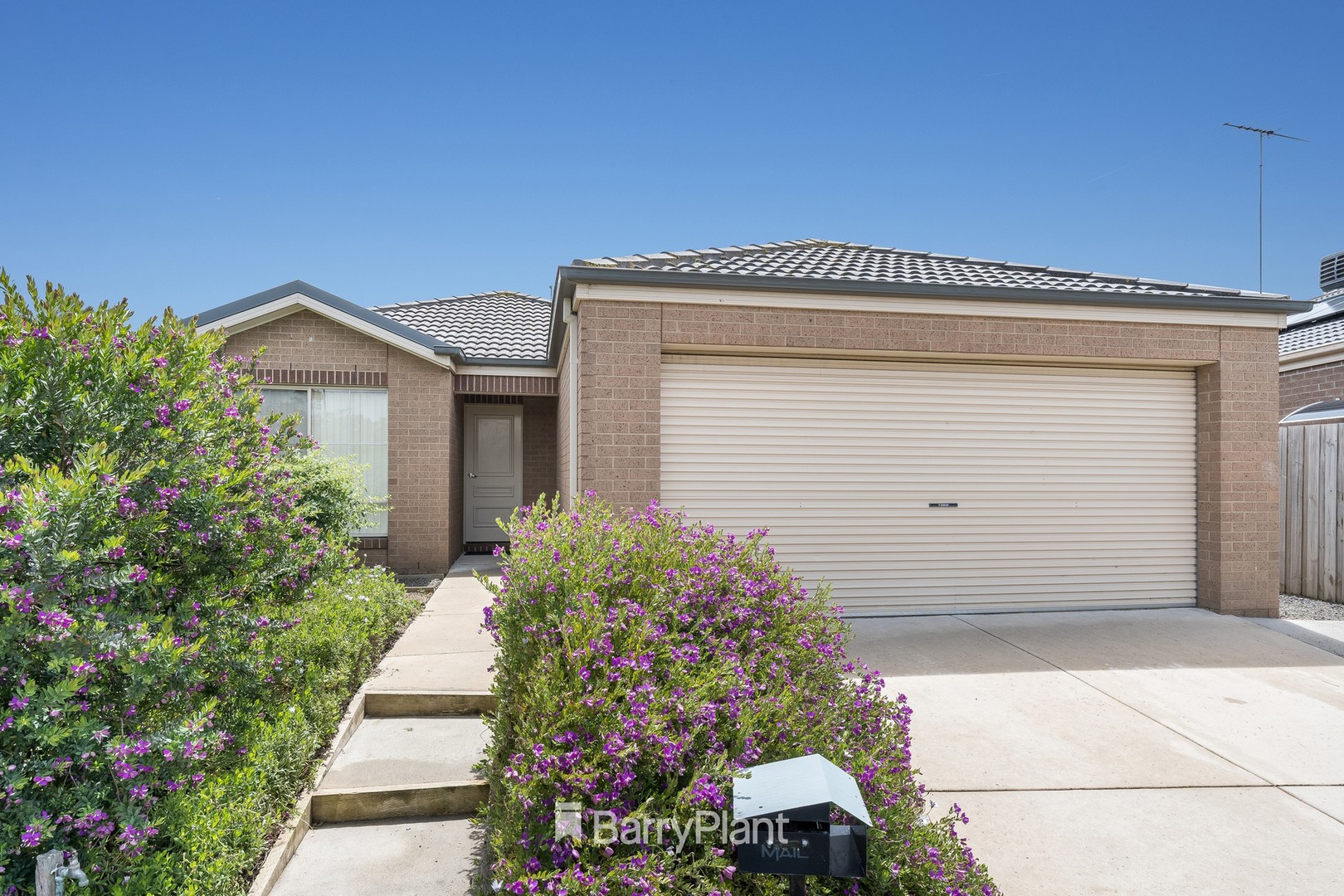 22 Senior CourtHighton, VIC 3216, Highton - Thumbnail 4