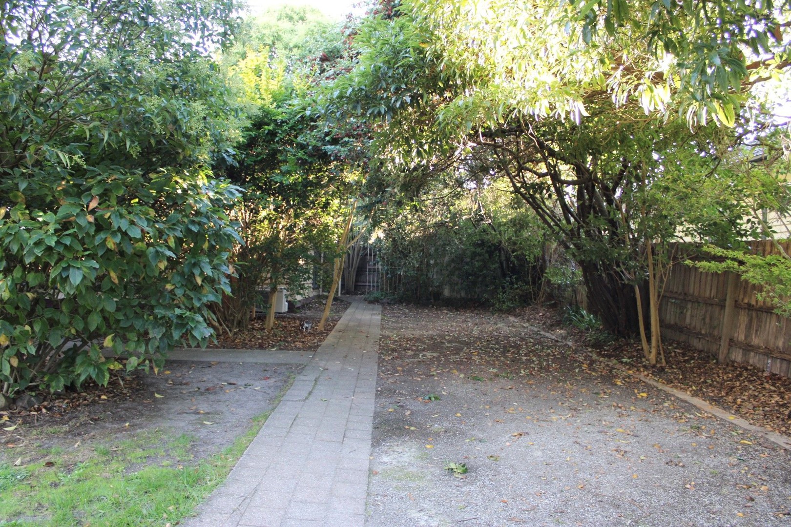 22 Tamar Street, Ringwood North, VIC 3134, Ringwood North - Thumbnail 6