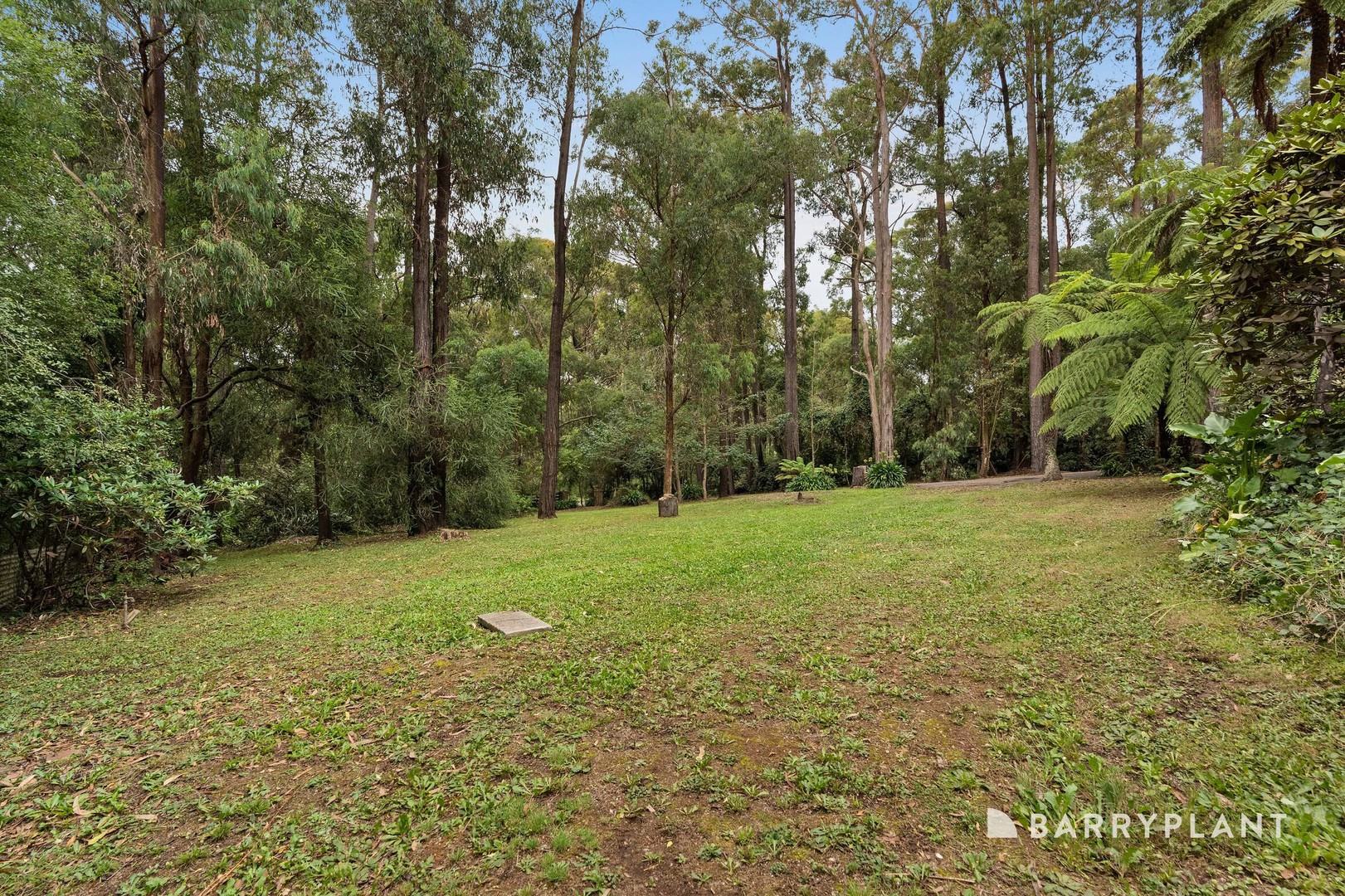 22 The Avenue, Gembrook, VIC 3783, Gembrook - Thumbnail 3