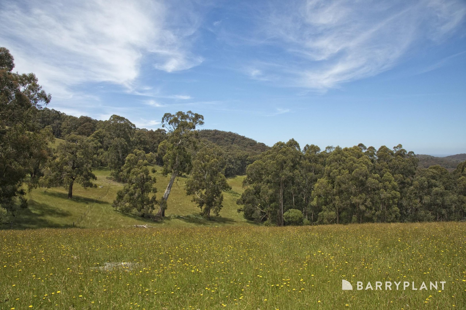220 Mount Eirene Road, Gembrook, VIC 3783, Gembrook - Thumbnail 2